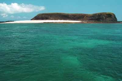 �p�ըF�����񪺮���u���A�u�i���۾����H����e�{